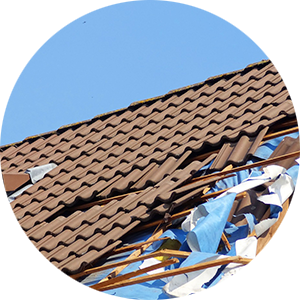 EPC Certificate image showing environmently friendly houses